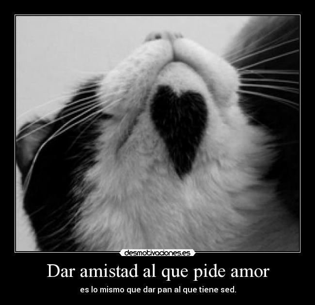 Dar amistad al que pide amor - es lo mismo que dar pan al que tiene sed.