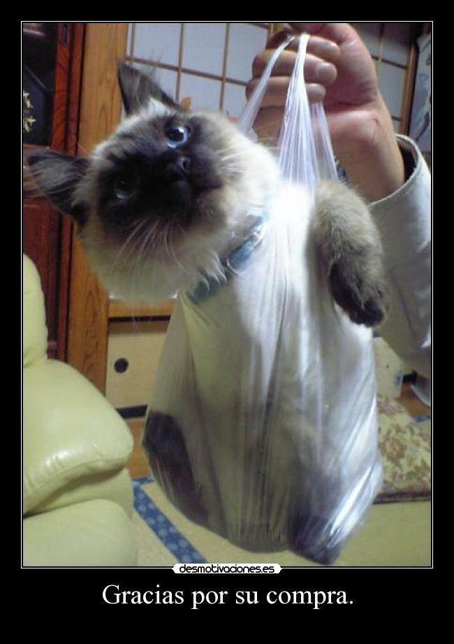 Gracias por su compra. - 