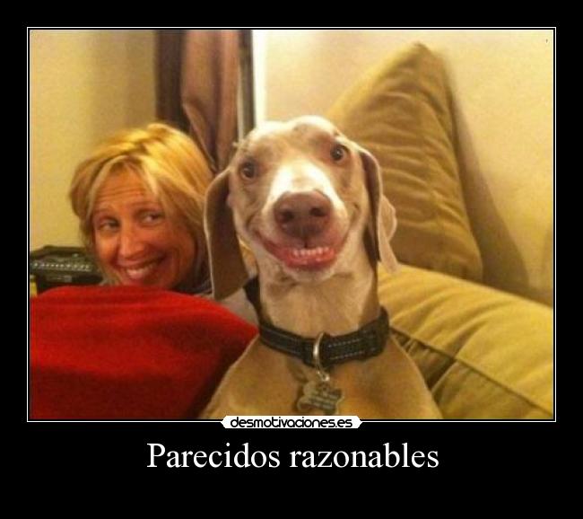 Parecidos razonables - 