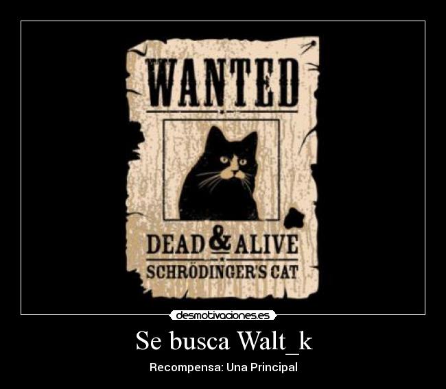 Se busca Walt_k -