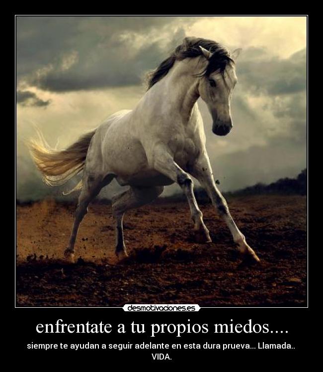 carteles esmeralda desmotivaciones