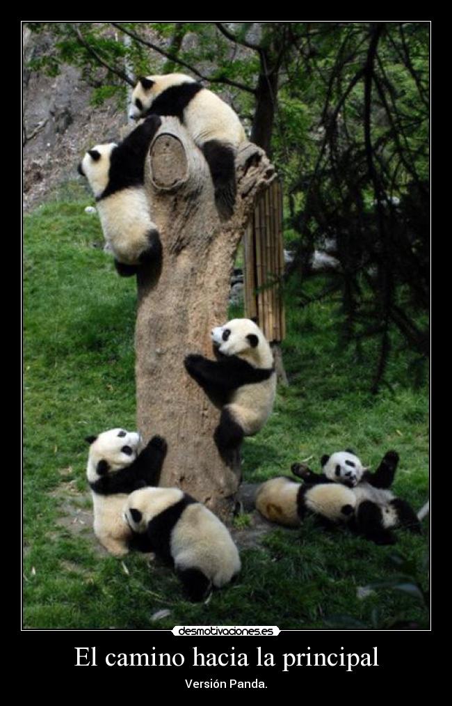 El camino hacia la principal - Versión Panda.