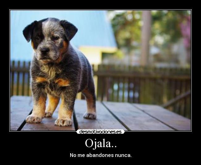 Ojala.. - No me abandones nunca.