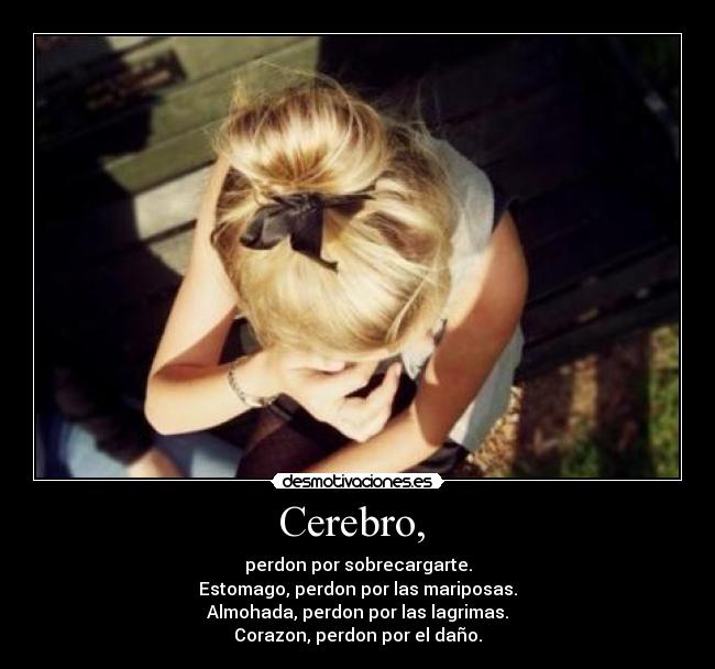 Cerebro, - perdon por sobrecargarte.
Estomago, perdon por las mariposas.
Almohada, perdon por las lagrimas.
Corazon, perdon por el daño.