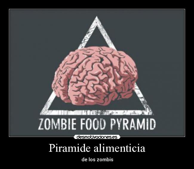 Piramide alimenticia -