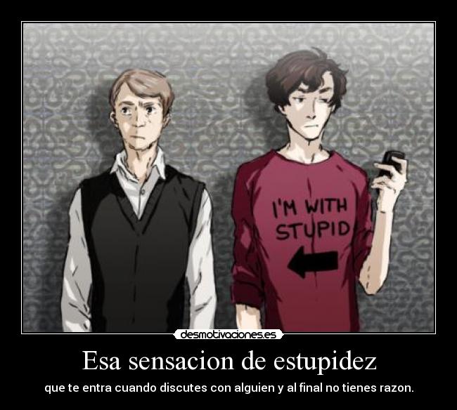 Esa sensacion de estupidez - que te entra cuando discutes con alguien y al final no tienes razon.