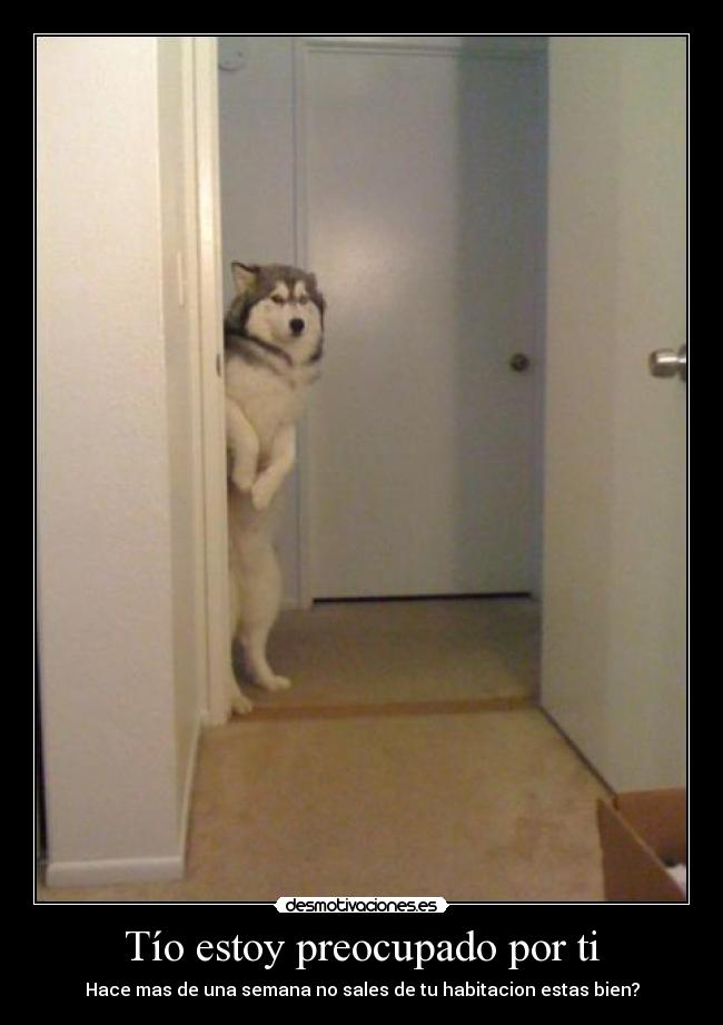 Tío estoy preocupado por ti - Hace mas de una semana no sales de tu habitacion estas bien?
