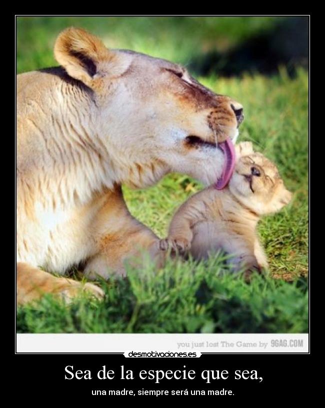 Sea de la especie que sea, - 