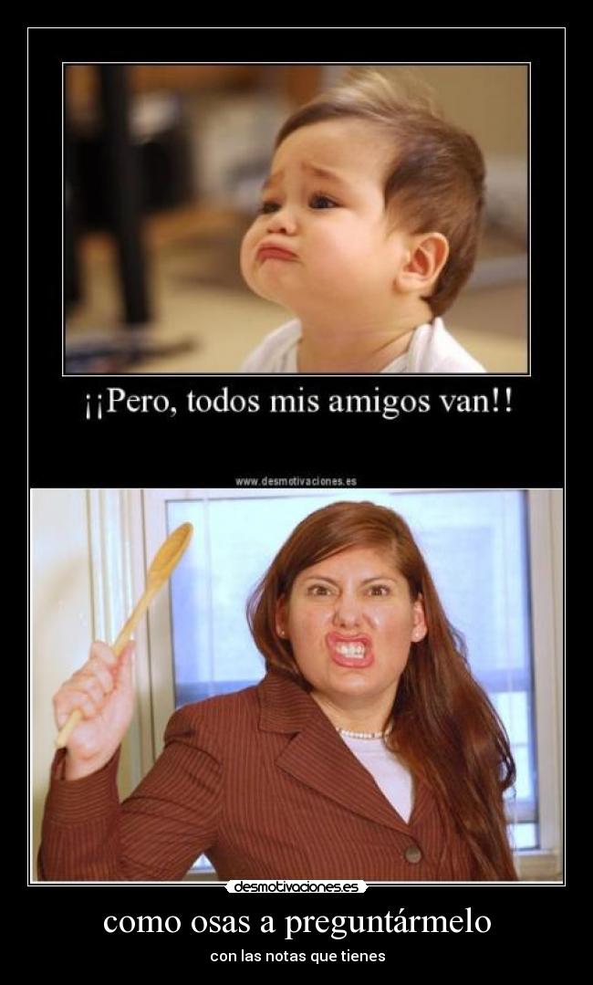 carteles como osas preguntarmelo desmotivaciones