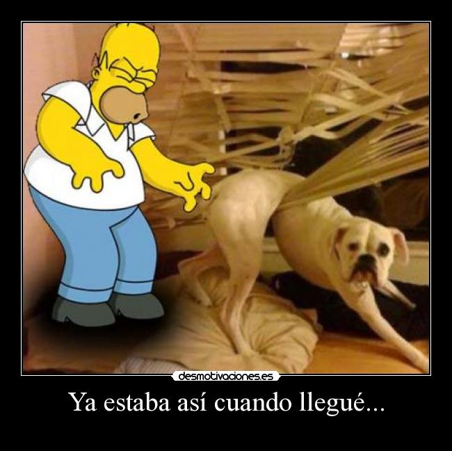 carteles homer perro frase asi cuando llegue desmotivaciones