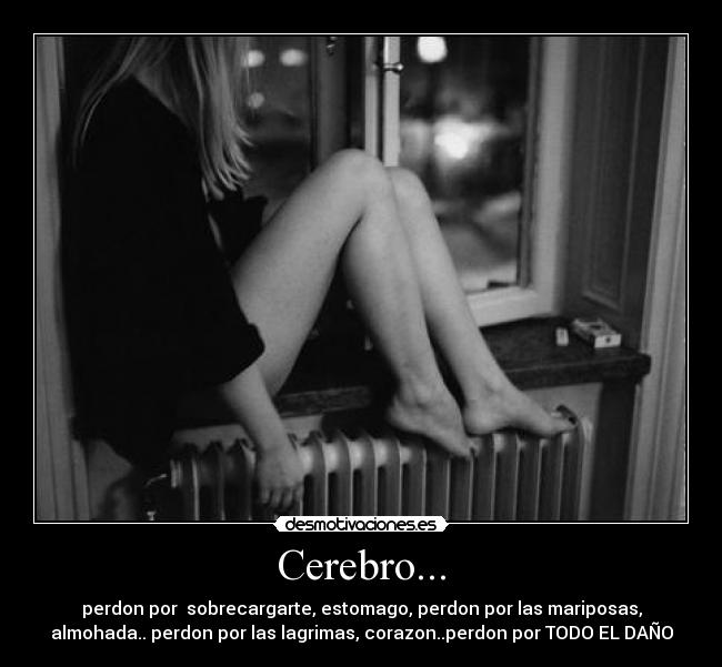 carteles amorperdonlagrimastristezacerebrocorazonalmohadamariposasestomago desmotivaciones