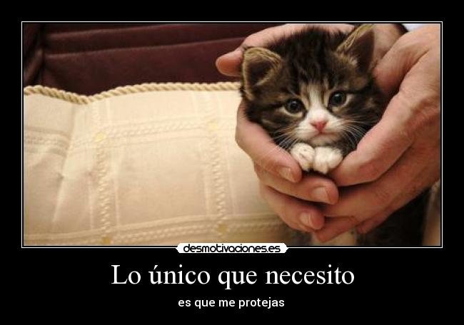 Lo único que necesito - es que me protejas