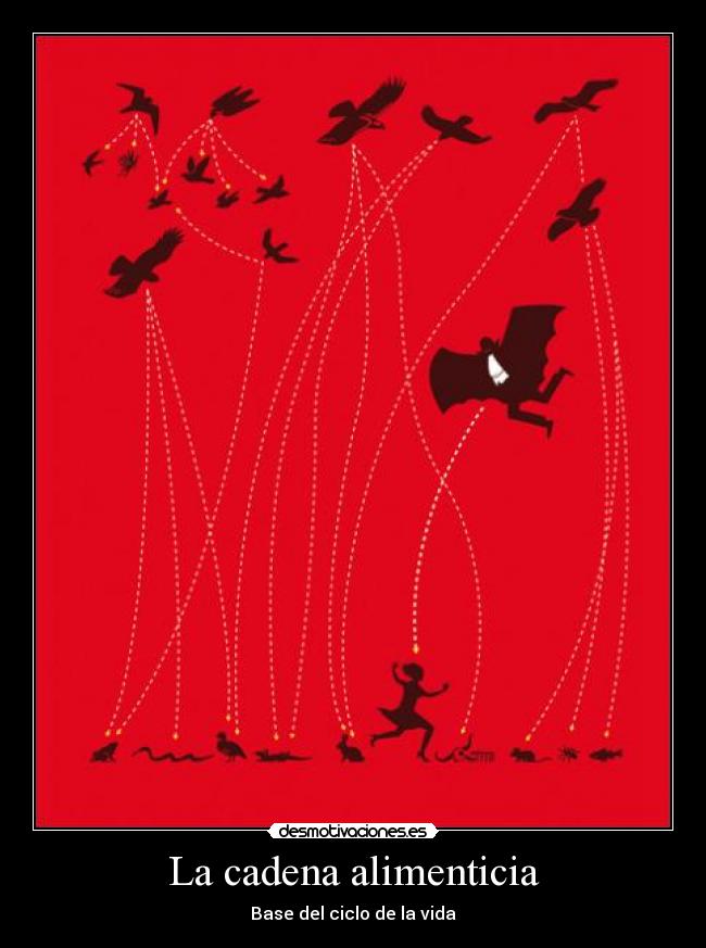 La cadena alimenticia -
