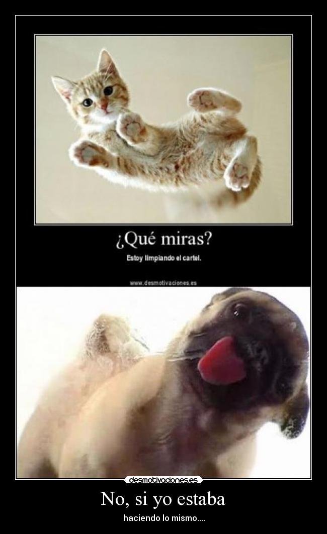 No, si yo estaba - haciendo lo mismo....