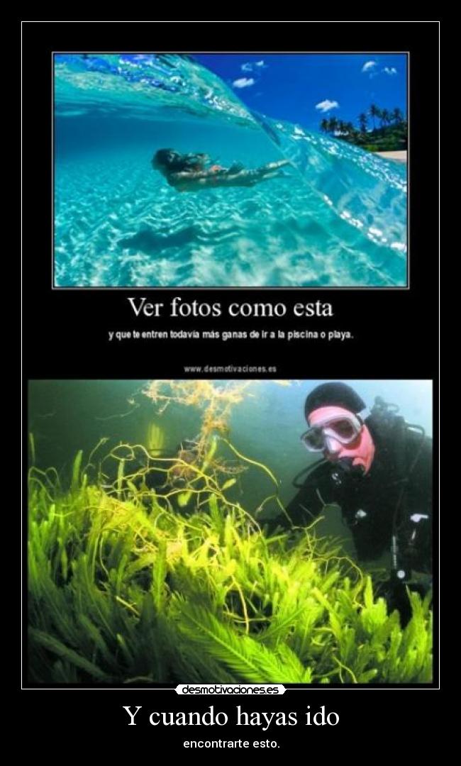 Y cuando hayas ido - encontrarte esto.