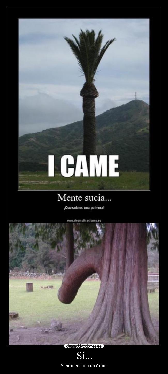 carteles mente sucia desmotivaciones