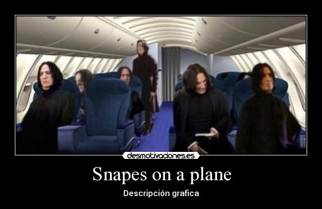 Snapes on a plane - Descripción grafica