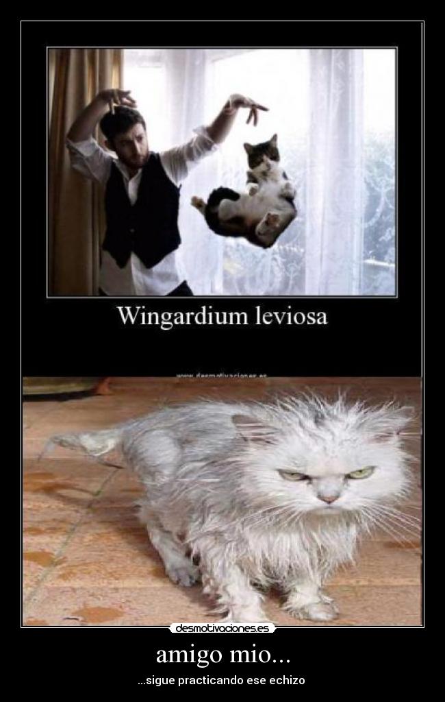 amigo mio... - ...sigue practicando ese echizo