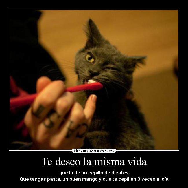 Te deseo la misma vida - 