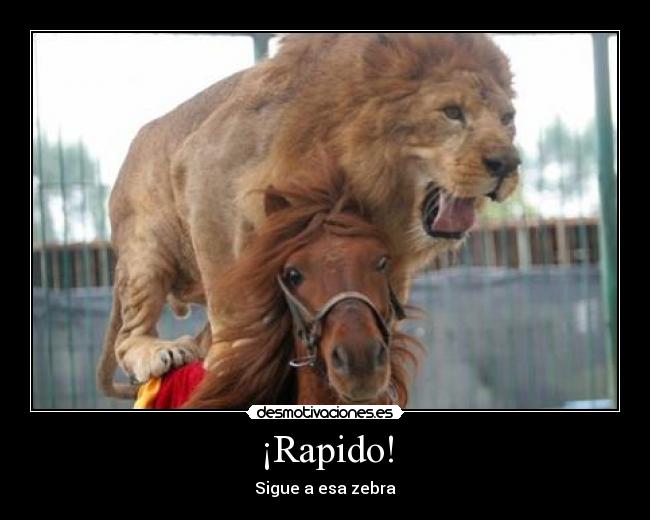 ¡Rapido! -