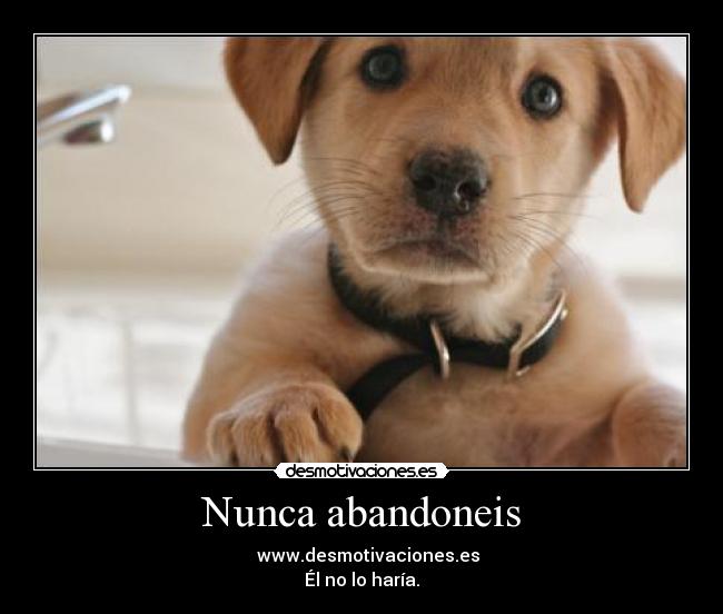 Nunca abandoneis - www.desmotivaciones.es
Él no lo haría.