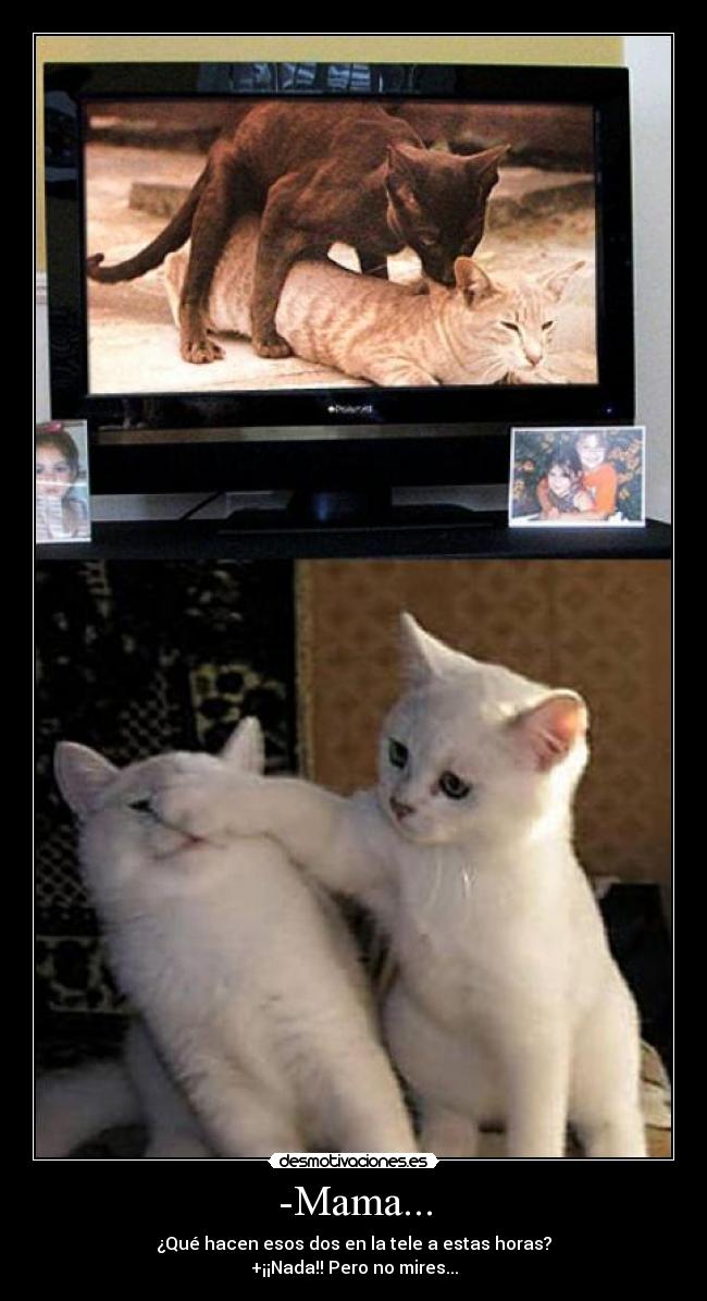 -Mama... - ¿Qué hacen esos dos en la tele a estas horas?
+¡¡Nada!! Pero no mires...