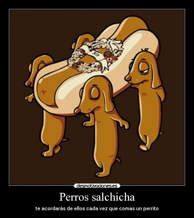 Perros salchicha -