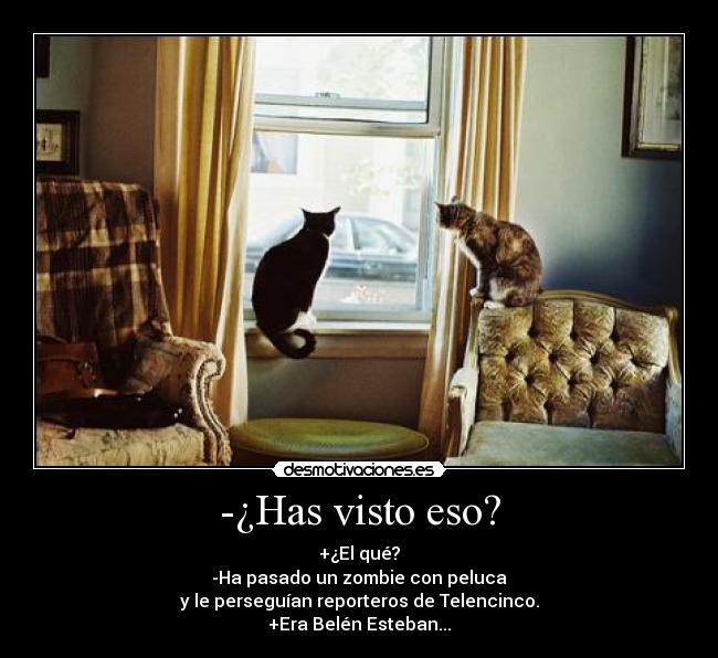 -¿Has visto eso? -