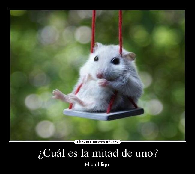 ¿Cuál es la mitad de uno? - 