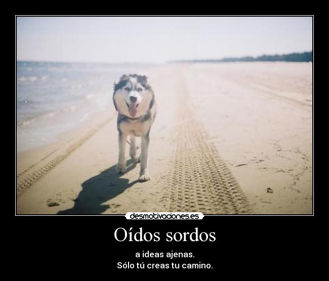 Oídos sordos - a ideas ajenas.
Sólo tú creas tu camino.