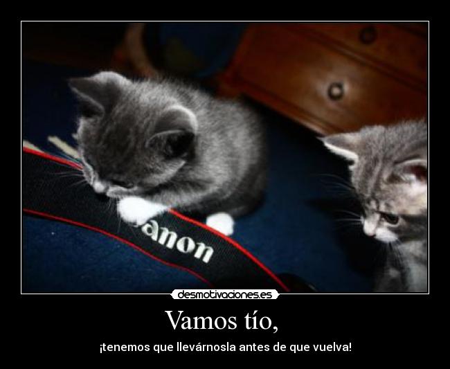 Vamos tío, - ¡tenemos que llevárnosla antes de que vuelva!