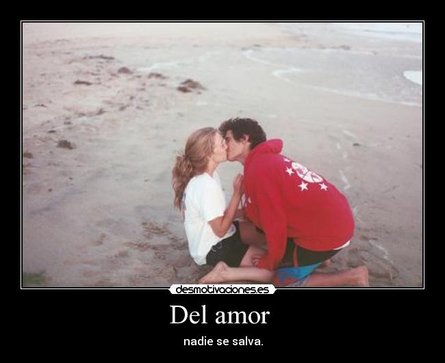 Del amor - nadie se salva.
