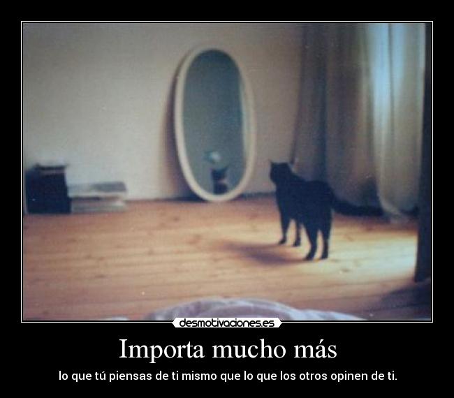 Importa mucho más - 