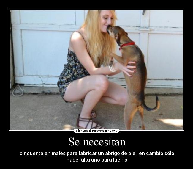 Se necesitan - 