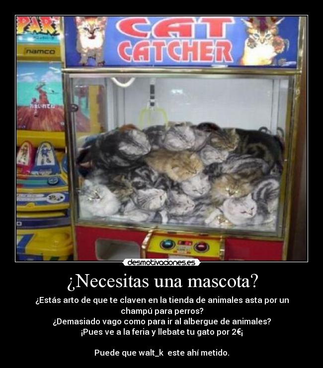 ¿Necesitas una mascota? -