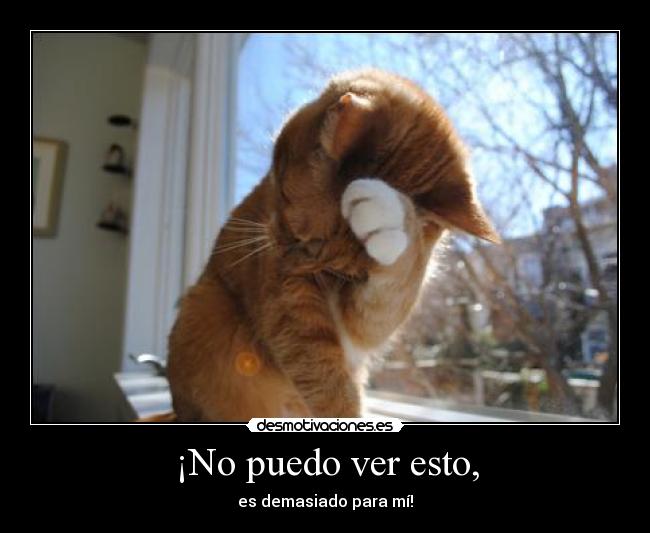 ¡No puedo ver esto, - es demasiado para mí!