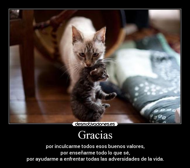 Gracias - por inculcarme todos esos buenos valores,
por enseñarme todo lo que sé,
por ayudarme a enfrentar todas las adversidades de la vida.