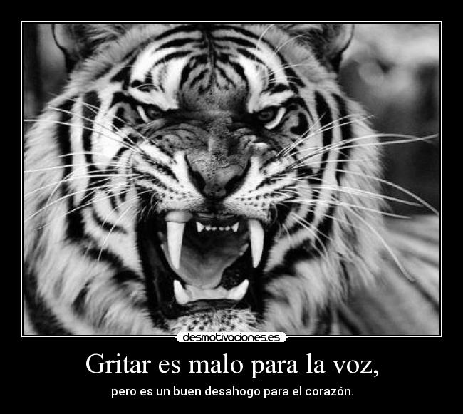 Gritar es malo para la voz, - 