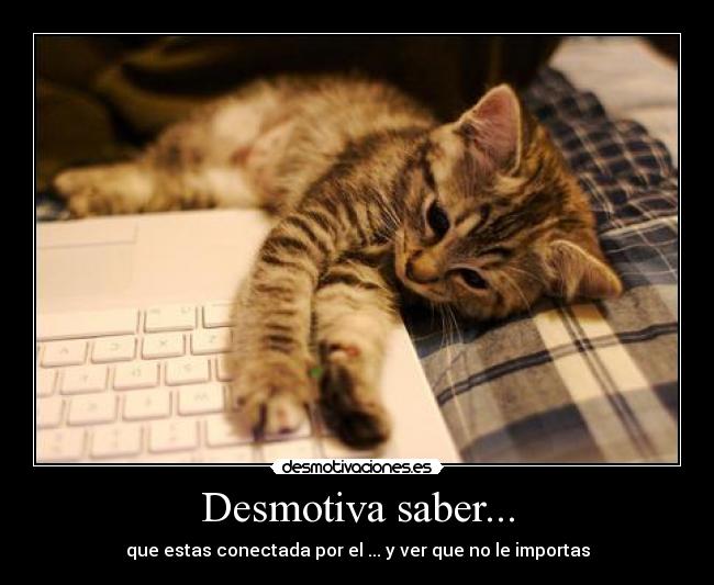 Desmotiva saber... - que estas conectada por el ... y ver que no le importas