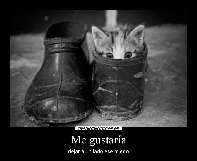 Me gustaría - dejar a un lado ese miedo.