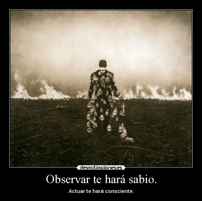 Observar te hará sabio. -