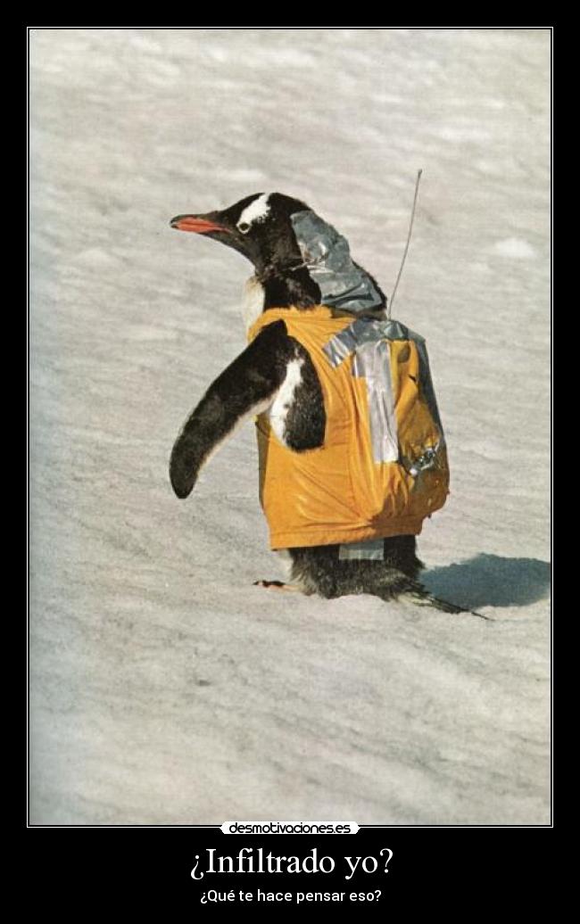 ¿Infiltrado yo? -