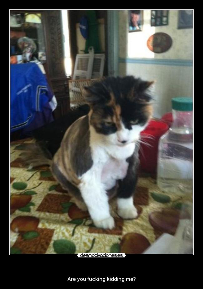 - Are you fucking kidding me?