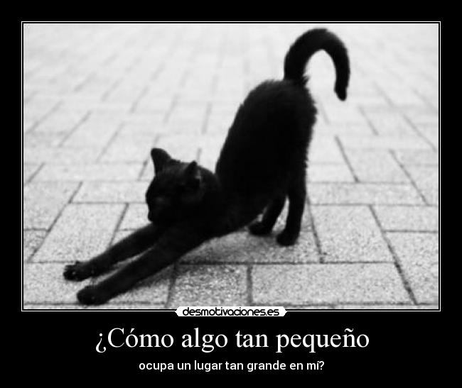 ¿Cómo algo tan pequeño -