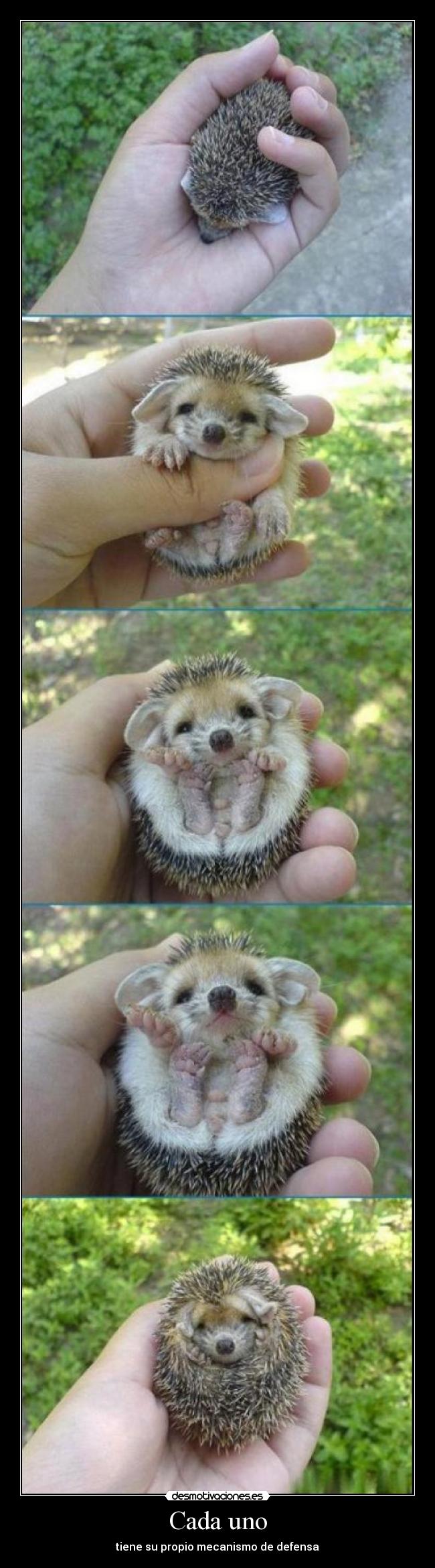 carteles missindependent desmotivaciones