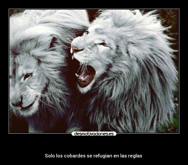       - Solo los cobardes se refugian en las reglas 