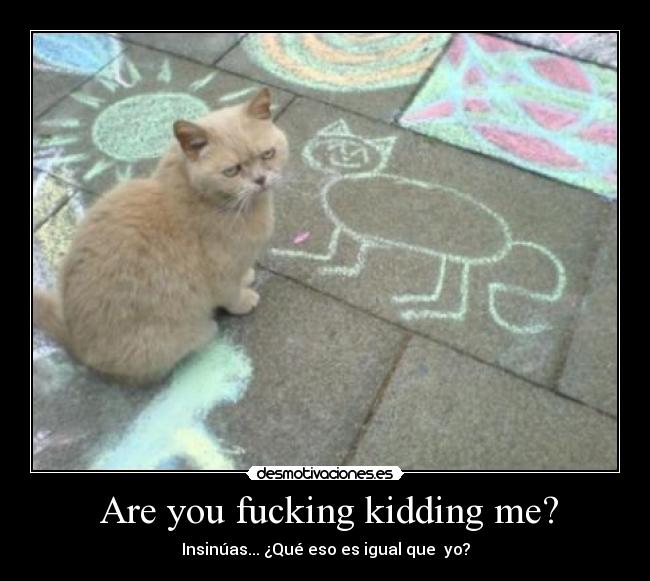  Are you fucking kidding me? - Insinúas... ¿Qué eso es igual que  yo?