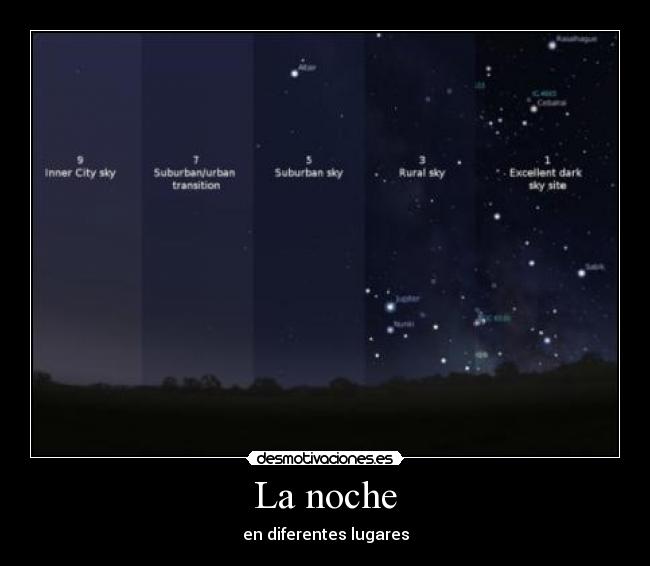 La noche - 