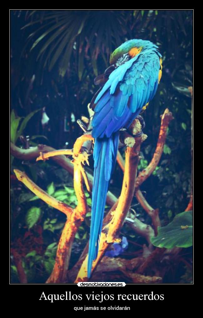 Aquellos viejos recuerdos -