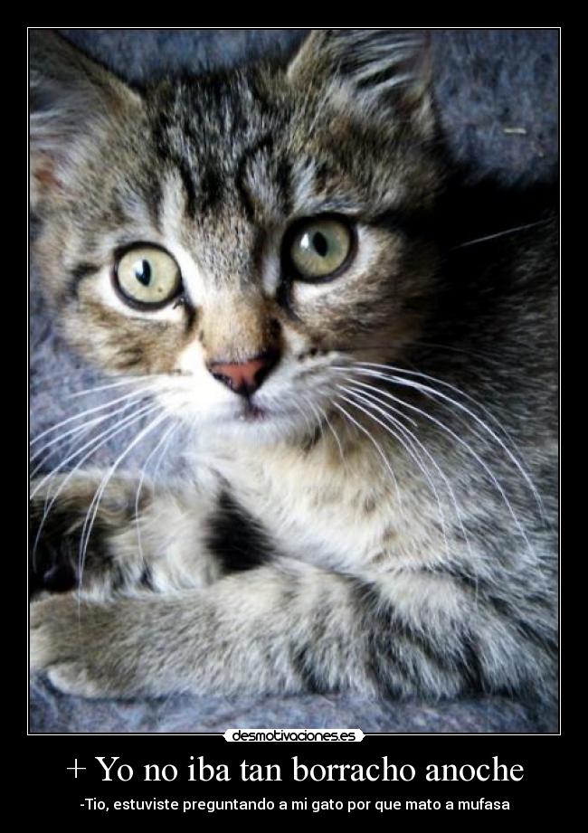 + Yo no iba tan borracho anoche -